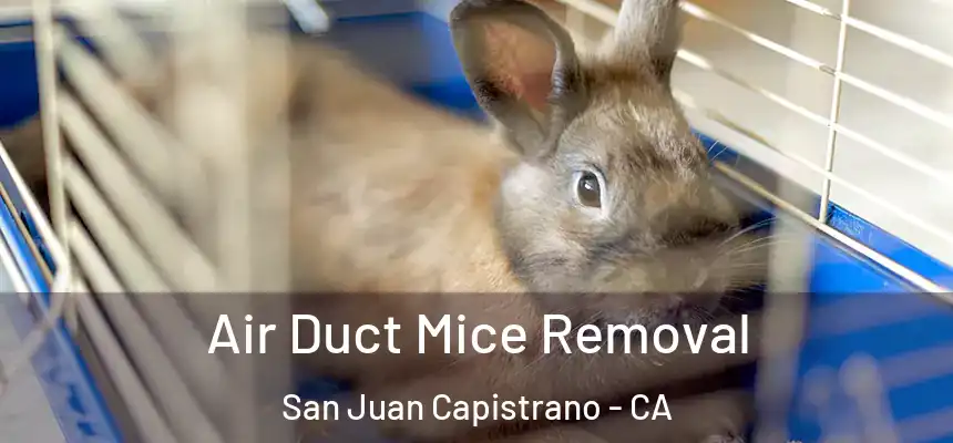 Air Duct Mice Removal San Juan Capistrano - CA