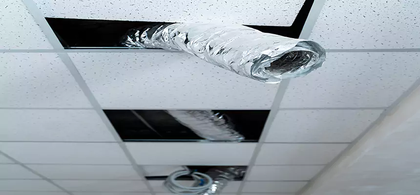 Affordable HVAC Sanitizing After Pest Removal in San Juan Capistrano