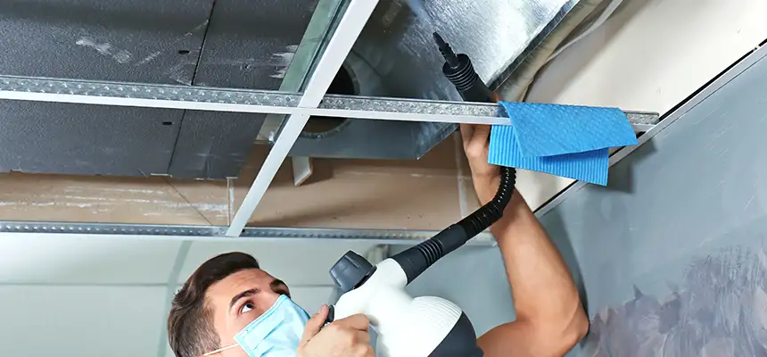Our Air Duct Rodent Removal Services in San Juan Capistrano, CA