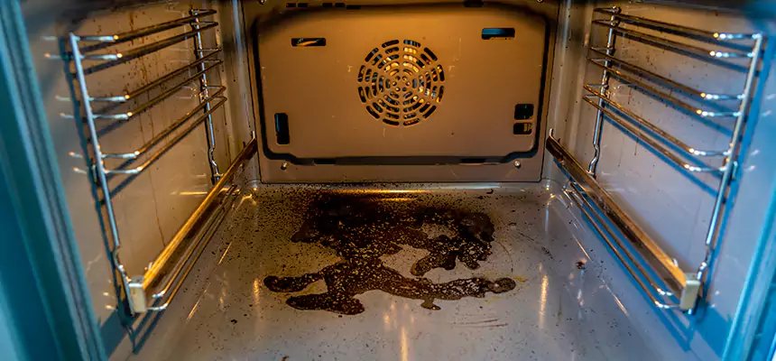 Our Dryer Vent Mold Cleaning Services in San Juan Capistrano, CA