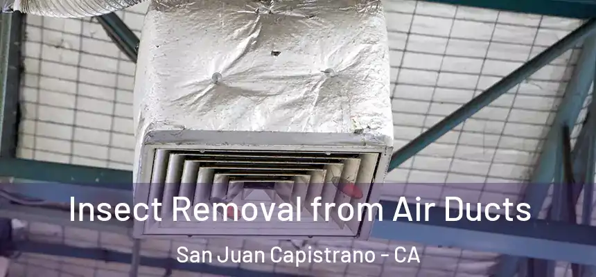  Insect Removal from Air Ducts San Juan Capistrano - CA