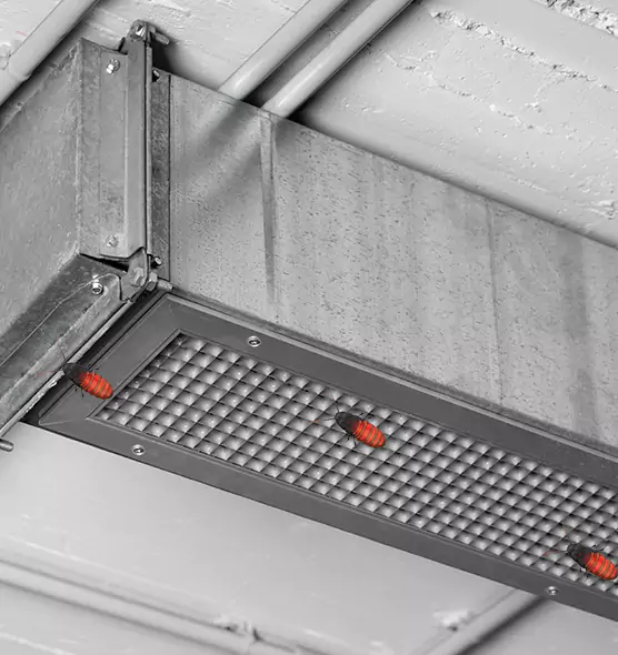 About Air Duct Cockroach Removal in San Juan Capistrano, CA
