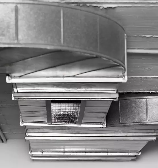 Professional Air Duct Pet Hair Removal in San Juan Capistrano, CA