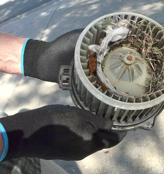 About Air Duct Rat Removal in San Juan Capistrano, CA