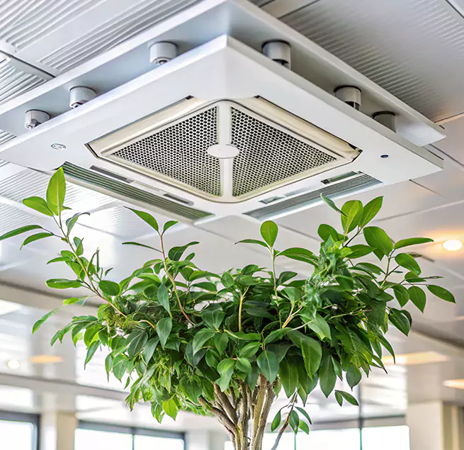 Why Homeowners & Businesses Trust Us in San Juan Capistrano, CA?